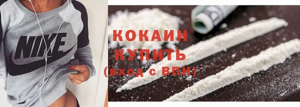 гашик Богородицк