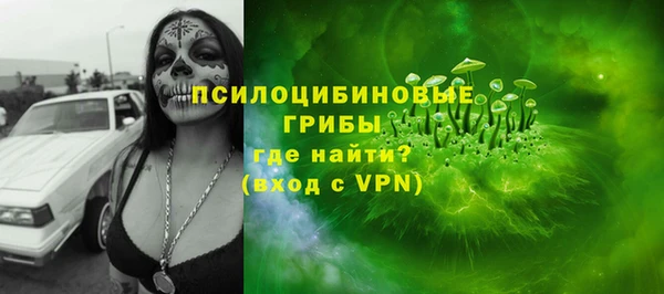 mix Богородск