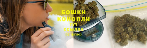 тгк Богданович