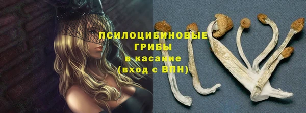 гашик Богородицк