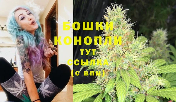 тгк Богданович