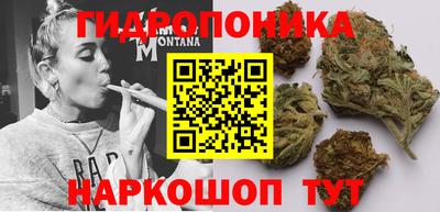 дживик Балахна