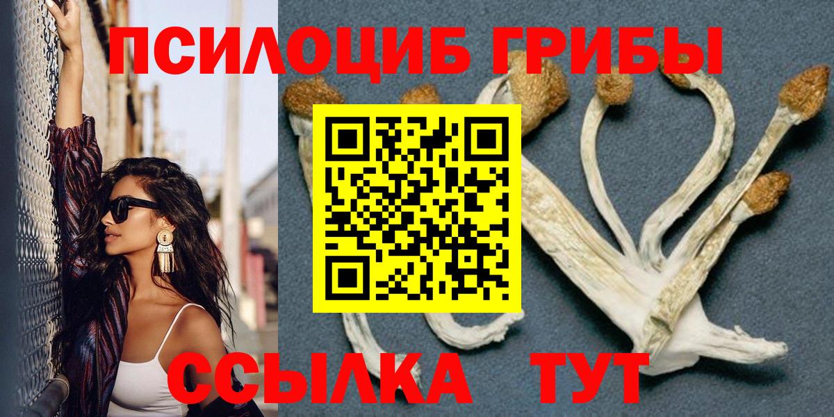 Вязники  Псилоцибиновые грибы GOLDEN TEACHER  Вход с VPN  Псилоцибиновые грибы мицелий 